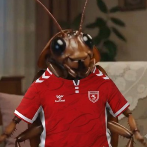 Tekoat